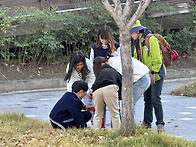 11/8 학교숲 지도그리기