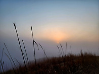 개머리언덕에서의 둘째 날