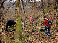 수리산 야생화 찾기