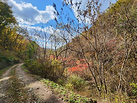 가을의 휴식, 봉미산 약초..