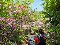 서리산 철쭉 산행