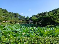 강릉 선교장