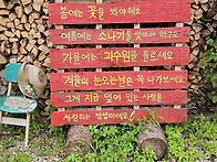 지금 이순간을 누리는 법