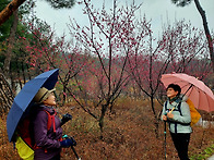 제1320차 3/18(수) 봄이..