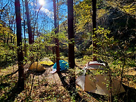 제1276차 11/1(토)~ 1..