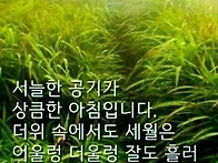 가을공기