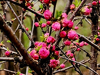 4월 정기산행지 사전답사