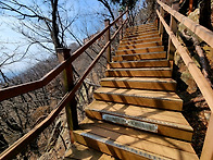 최고의 약은 바로 걷는 것..