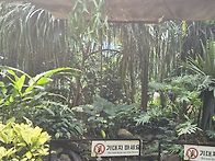 서울 식물원