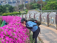 청계산 채린님과 ~~