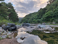 영양여행과 반딧불이와 별