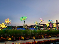 계양아라온 빛의 거리 야경