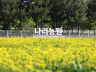 싱그러운 오월 무료입장 ..