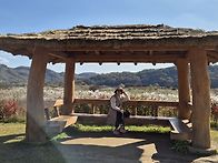 연천 댑싸리정원