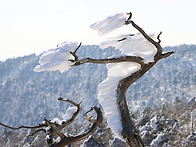 태백산 (산경산악)