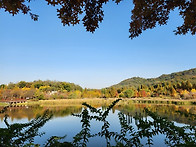 울집옆...구로 푸..