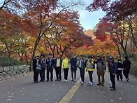 11월15일 남산 단..