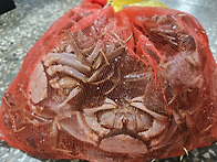 임진강 참게 판매합니다