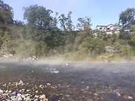 북삼교윗여울잉어