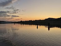 임진강쏘가리낚시 조황 좋..