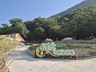 제185차 정기산행 2026년 6월14일 순창 ..