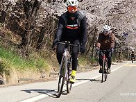 4월8일 수요무동력 청계산..