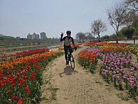 415수요무동력 한컷