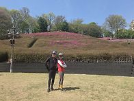 목요동력 번개사진 몇장