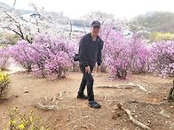 부천 원미산 도당..