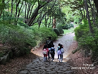 양산숲탐험대/꽃나..