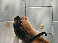 4월 달력 배경화면..