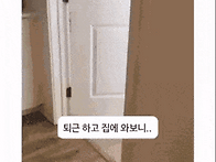 남편한테 고양이를 맡기면..