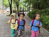 나무,숲,열매들의..