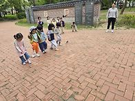 나무,숲.열매들5..