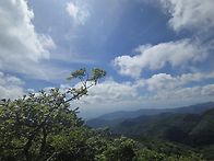 팔공산 느패재(2025.07..
