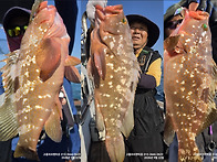 [고흥피쉬헌터호] 오늘도 붉바리57cm 선두..