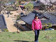 4월 강화전등사