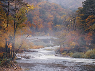 두번째 봄 &#127809;