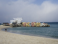 26년 1월 10일 정출 인증