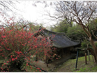 봄날에 한가한 오후