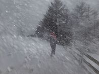 양떼목장 눈보라