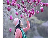 자목련과 빨간의자!!