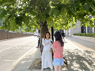 2026년 유럽 여행, 영국에..