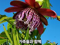 즐거운 한가위되세요