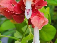 비 피해는 없으신지요