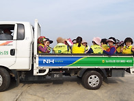 여주 고구마케기 봉사