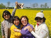 26ㆍ4ㆍ21일 선운사 ㆍ청..