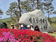 26ㆍ4ㆍ21일 (화) 선운사..