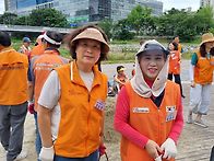 사계활동중 여름