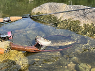 인제가면 언제 올..